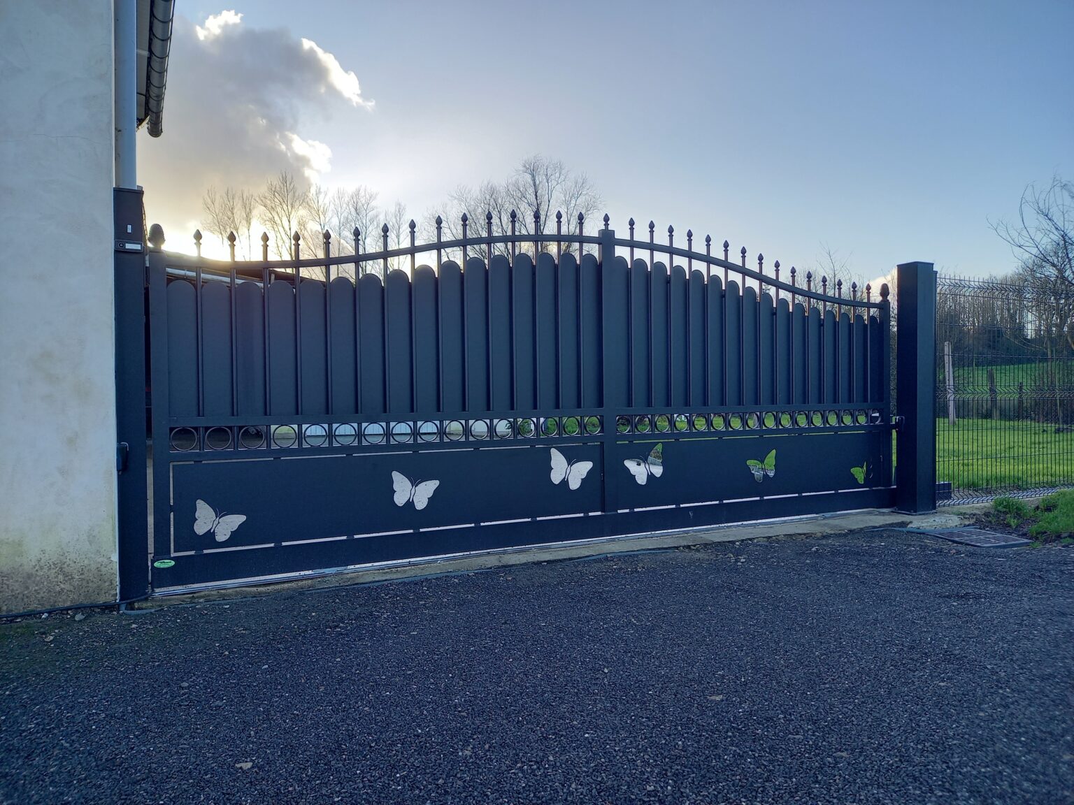 RAIPONCE - COULISSANT - ROND SUR LA PARTIE CENTRALE